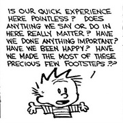 Have an Existential Crisis