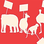 Animal Rights