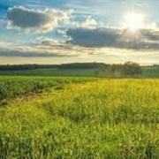 Unnamed Rural Area Outside NYC