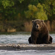 Katmai National Park, USA