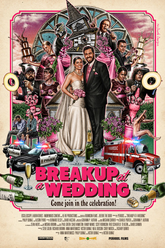 Breakup at a Wedding (2013)