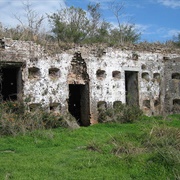 Ruins of Fort Macomb