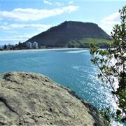 Moturiki Island Walk