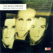 Wild Swans- Bringing Home the Ashes