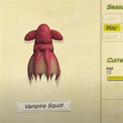 Vampire Squid