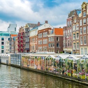 Bloemenmarkt (Flower Market), Amsterdam