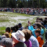 Watch Old Faithful – Yellowstone National Park