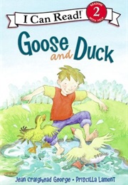 Goose and Duck (Jean Craighead George)