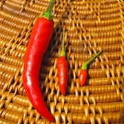Siling Labuyo Pepper