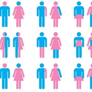 Gender Identities
