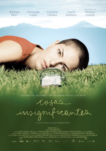 Insignificant Things (2008)