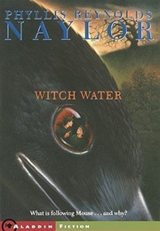 Witch Water (Phyllis Reynolds Naylor)