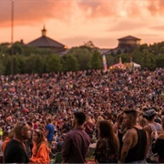 Bethel Woods Concert Series