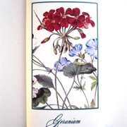 Maison Bouche Geranium Botanical Bar