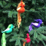 Bird of Paradise Ornament