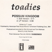 Possum Kingdom by the Toadies