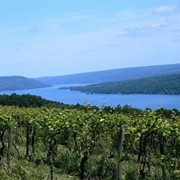 Finger Lakes Wine Country
