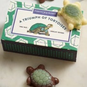 Fortnum & Mason a Triumph of Chocolate Tortoises