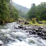 Atiwhakatu Hut Wal, Masterton