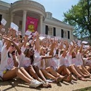 Rush a Sorority