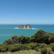 East Island (Whangaokeno)