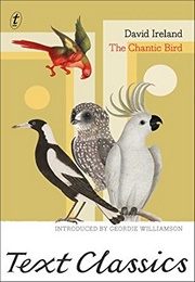The Chantic Bird (David Ireland)