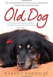 Old Dog (Barney Bardsley)
