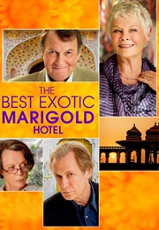 The Best Exotic Marigold Hotel (2011)