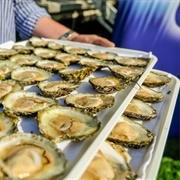 Follow the Oyster Trail in Galway, Ireland