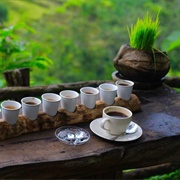 Sample Coffee During a Plantation Tour