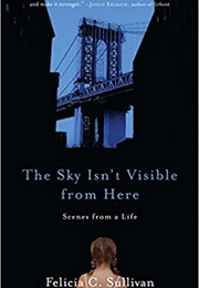 The Sky Isn't Visible From Here (Felicia Sullivan)