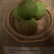 Lane's Prince Albert Apple
