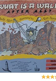 What Is a Wall After All? (Judy Allen)