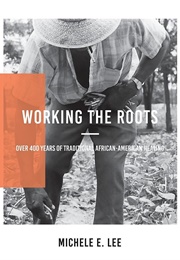 Working the Roots: Over 400 Years of Traditional African American Healing (Michele Elizabeth Lee)