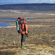 Tarvantovaara Wilderness Area