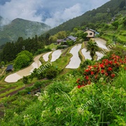 Takahara, Wakayama, Japan
