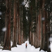 Togakushi-Jinja, Nagano, Japan