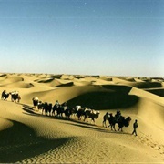 Learn About the Silk Road
