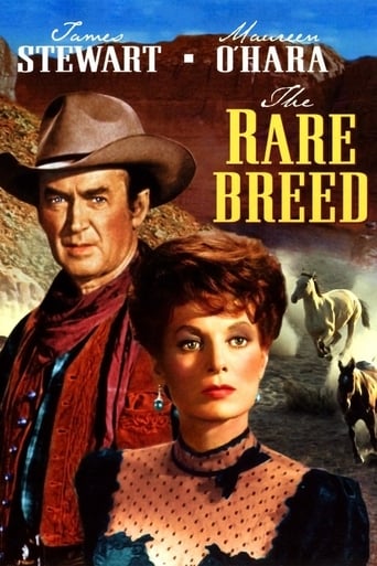 The Rare Breed (1966)