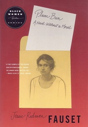 Plum Bun (Jessie Redmon Fauset)