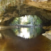 Oparara Arch, South Island, New Zealand