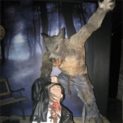 Museo Delle Creature Delle Notte