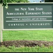 New York State Agricultural Experiment Station