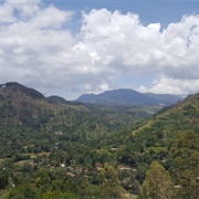 Ella - Sri Lanka