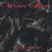 Winter Rose - Winter Rose