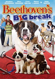 Beethoven's Big Break (2008)