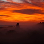 Watch the Sunrise at Tikal, Guatemala