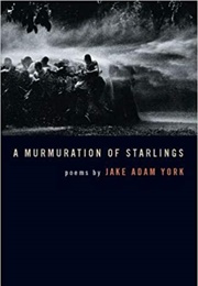 A Murmuration of Starlings (Jake Adam York)