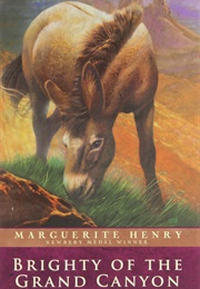 Brighty of the Grand Canyon (Marguerite Henry)