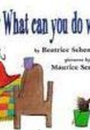 What Can You Do With a Shoe? (Beatrice Schenk De Regniers)